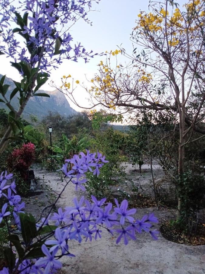 Terra De Aruanda Pousada 帕尔梅拉斯 外观 照片